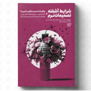 شرایط آشفته ، تصمیمات نرم